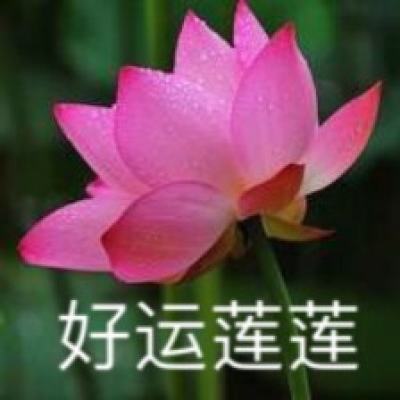 60余件清代宫廷文物亮相沈阳故宫文化博物馆